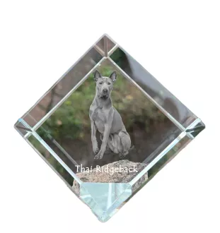 Thai Ridgeback - crystal cube with a photo, photo of a horse in crystal, cubic paperweight from Art-Dog brand