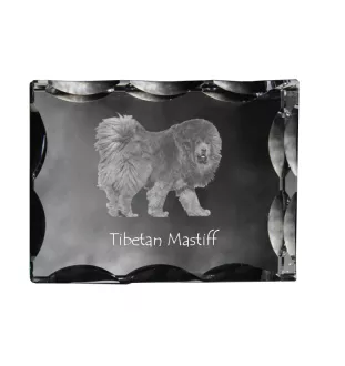 Do khyi, Tibetdogge, Tibetanische Dogge, Tibetmastiff - Kristall mit einem Hundebild, Glasstatuette mit einem Bild, einzigartiger Bilderrahmen der Marke Art-Dog