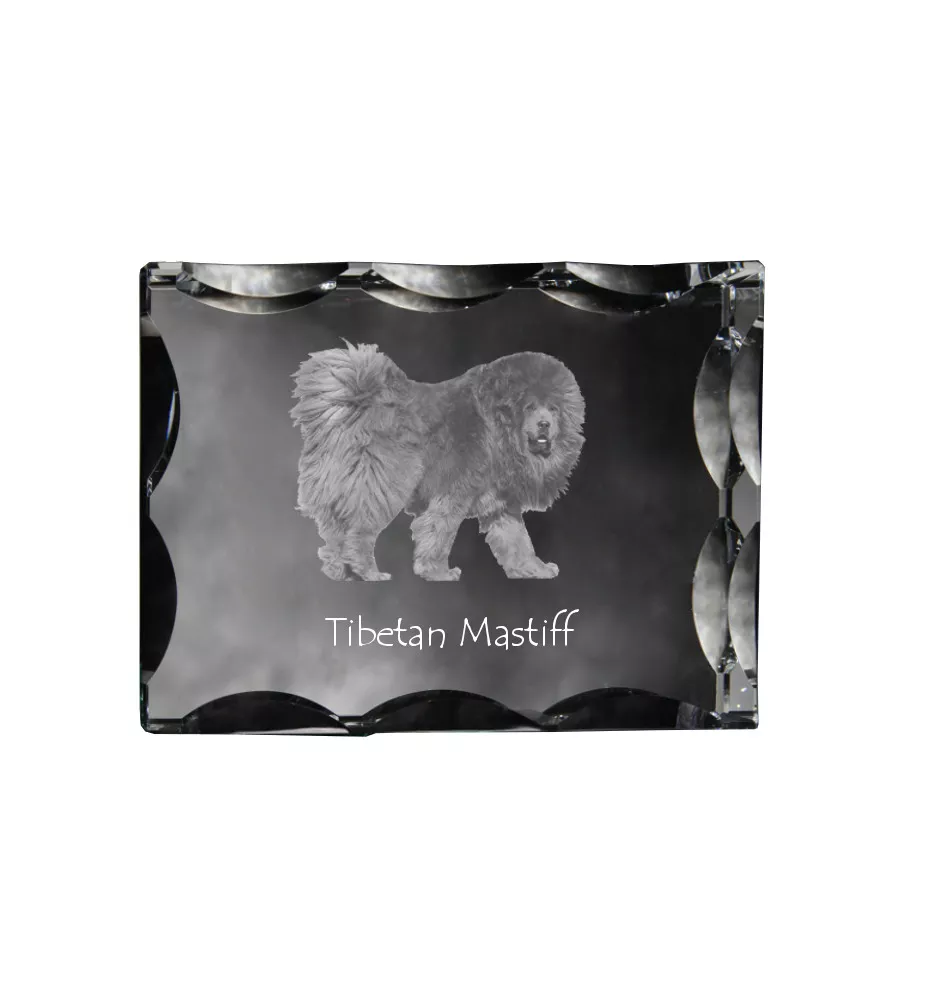 Tibetan Mastiff, Do khyi - crystal with a picture of a dog, glass statuette with a picture, unique frame with a picture from Art-Dog brand