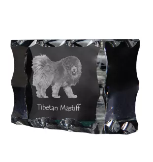 Do khyi, Tibetdogge, Tibetanische Dogge, Tibetmastiff - Kristall mit einem Hundebild, Glasstatuette mit einem Bild, einzigartiger Bilderrahmen der Marke Art-Dog