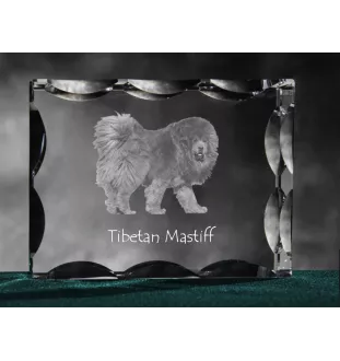 Tibetan Mastiff, Do khyi - crystal with a picture of a dog, glass statuette with a picture, unique frame with a picture from Art-Dog brand
