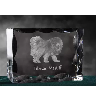 Tibetan Mastiff, Do khyi - crystal with a picture of a dog, glass statuette with a picture, unique frame with a picture from Art-Dog brand