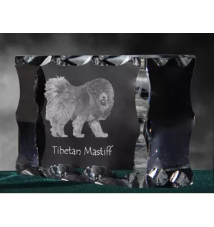 Dogue du Tibet, mastiff du Tibet - cristal avec photo de chien, statuette en verre avec photo, cadre exceptionnel avec photo de la marque Art-Dog