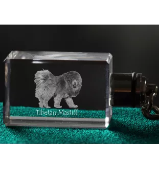 Do khyi, Tibetdogge, Tibetanische Dogge, Tibetmastiff - Schlüsselanhänger aus Kristall mit Hundefoto, beleuchteter Schlüsselanhänger, einzigartiges Geschenk der Marke Art-Dog