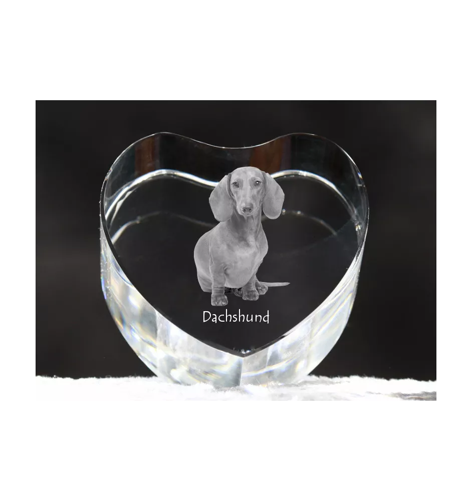 Dachshund Rauhhaar, Dackel, Teckel - Hundebild im Kristall, Kristallherz, einzigartiger Bilderrahmen der Marke Art-Dog