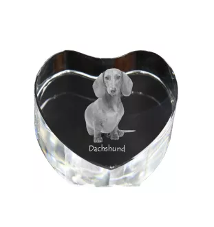 Dachshund Rauhhaar, Dackel, Teckel - Hundebild im Kristall, Kristallherz, einzigartiger Bilderrahmen der Marke Art-Dog