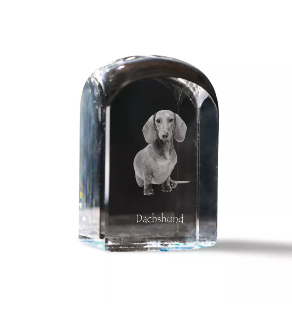 Teckel à poil dur, Chien-saucisse - un cube de cristal avec une photo, une photo de chien dans le cristal, un presse-papiers cubique de la marque Art-Dog