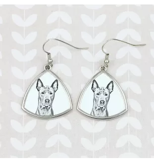 Thai Ridgeback - dog earrings, hanging earrings with a picture, personalized jewelry with Art-Dog brand print