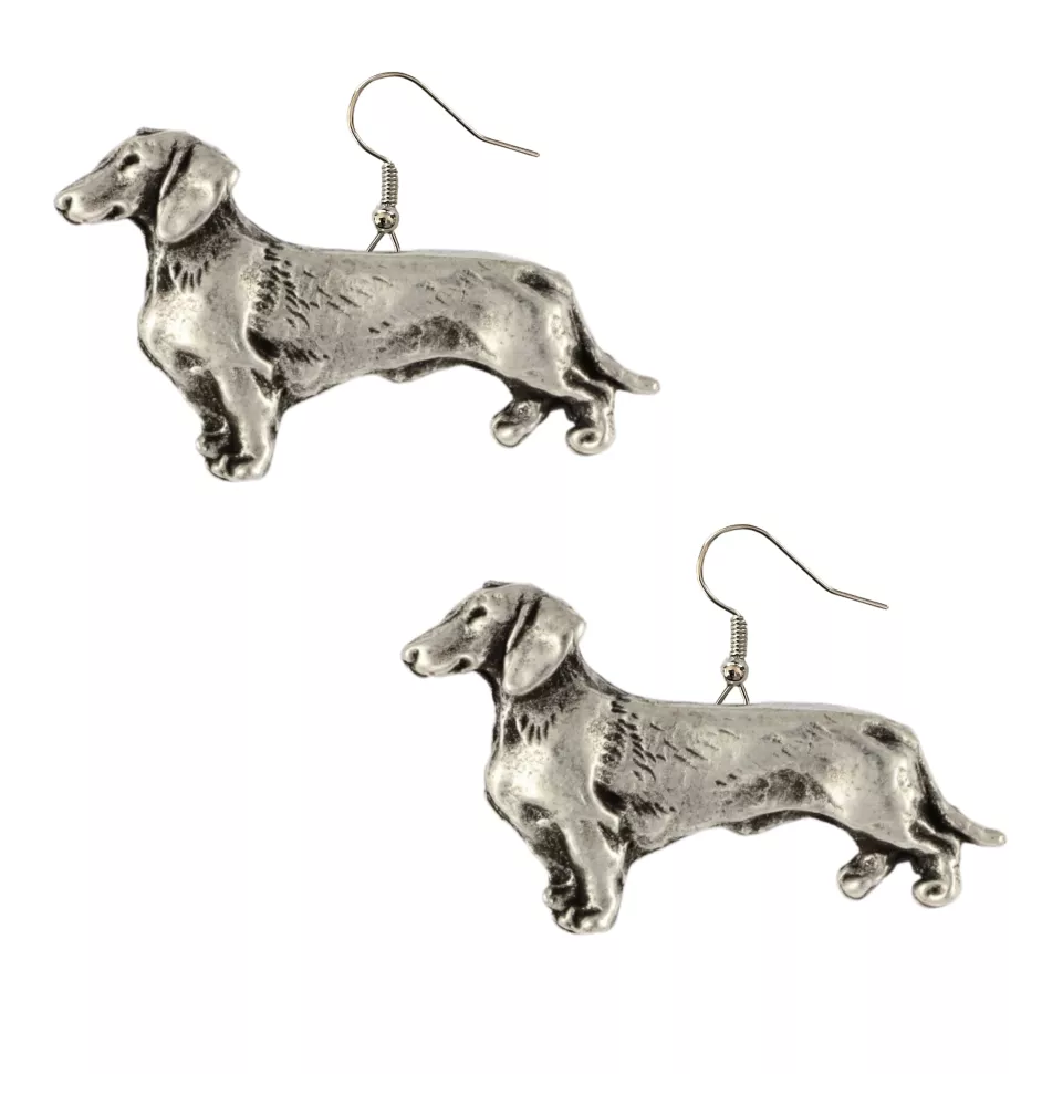 Dachshund Wire-haired, Wiener dog, Badger dog - hanging earrings with dogs, charming jewelry for a dog mom, a gift for a girl from the Art-Dog brand