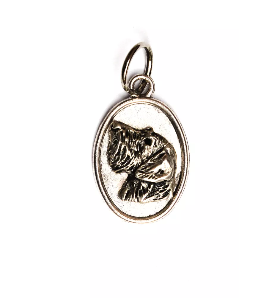 Dachshund Wire-haired, Wiener dog, Badger dog II - necklace with a dog, pendant for a dog mom, unique jewelry from the Art-Dog brand