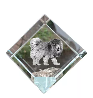 Tibetan Mastiff, Do khyi - crystal cube with a photo, photo of a horse in crystal, cubic paperweight from Art-Dog brand