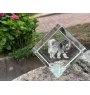 Tibetan Mastiff, Do khyi - crystal cube with a photo, photo of a horse in crystal, cubic paperweight from Art-Dog brand