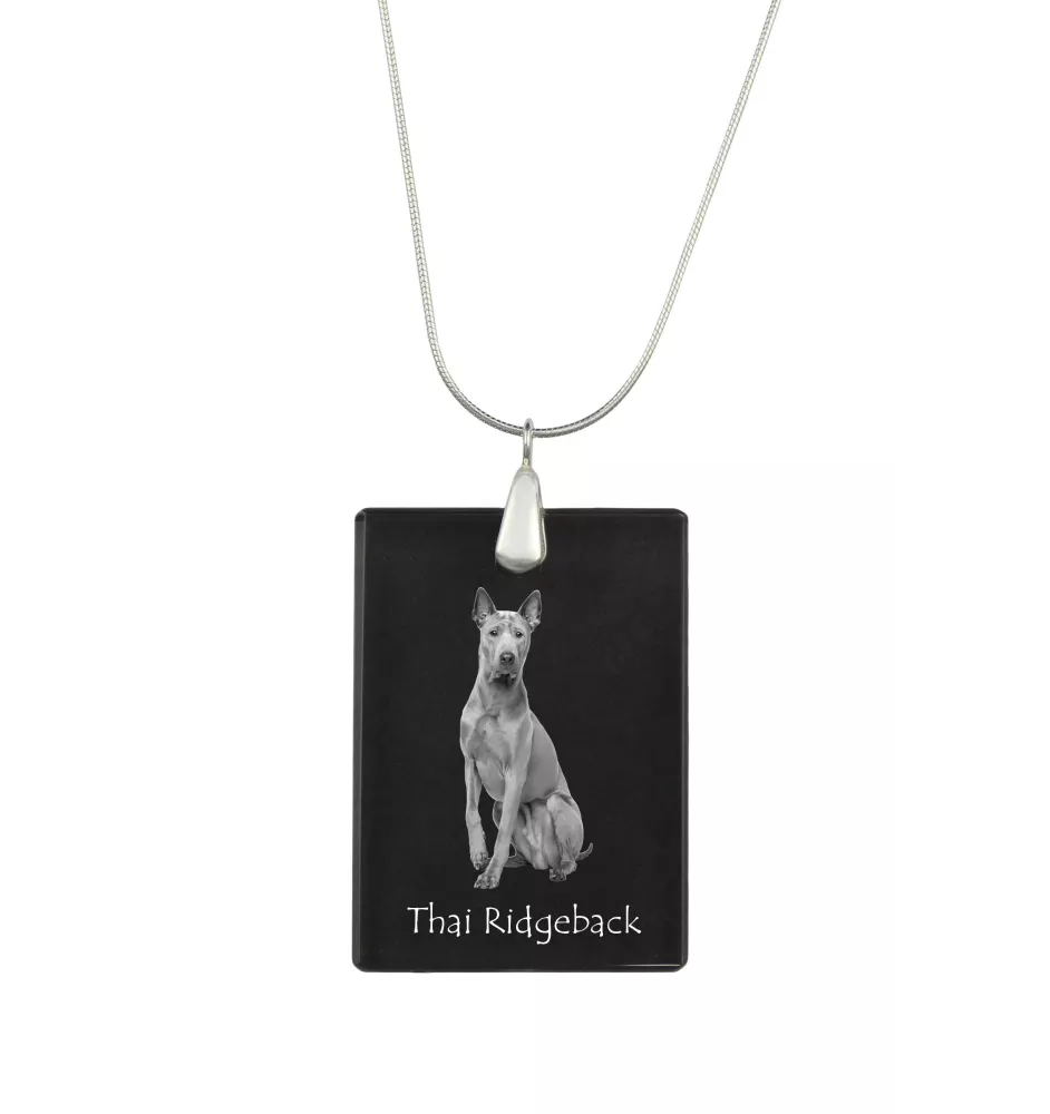 Thai Ridgeback - Crystal pendant with dog, silver necklace with photo, personalised pendant by Art-Dog brand
