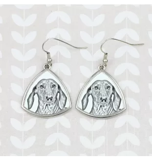 Dachshund Rauhhaar, Dackel, Teckel - Hund Ohrringe, hängende Ohrringe mit Bild, personalisierter Schmuck mit dem Aufdruck der Marke Art-Dog