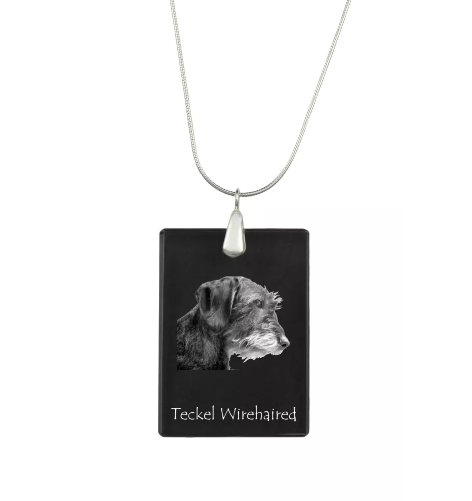 Dachshund Wire-haired, Wiener dog, Badger dog I - Crystal pendant with dog, silver necklace with photo, personalised pendant by Art-Dog brand