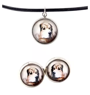 Dogue du Tibet, mastiff du Tibet - boîte à bijoux avec votre photo, ensemble collier et boucles d'oreilles, produits personnalisés de la marque Art-Dog