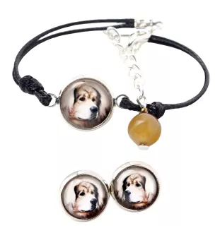 Dogue du Tibet, mastiff du Tibet - ensemble de bijoux avec votre photo, accessoire féminin, article fait main, produit fabriqué à la main avec passion pour la création de la marque Art-Dog