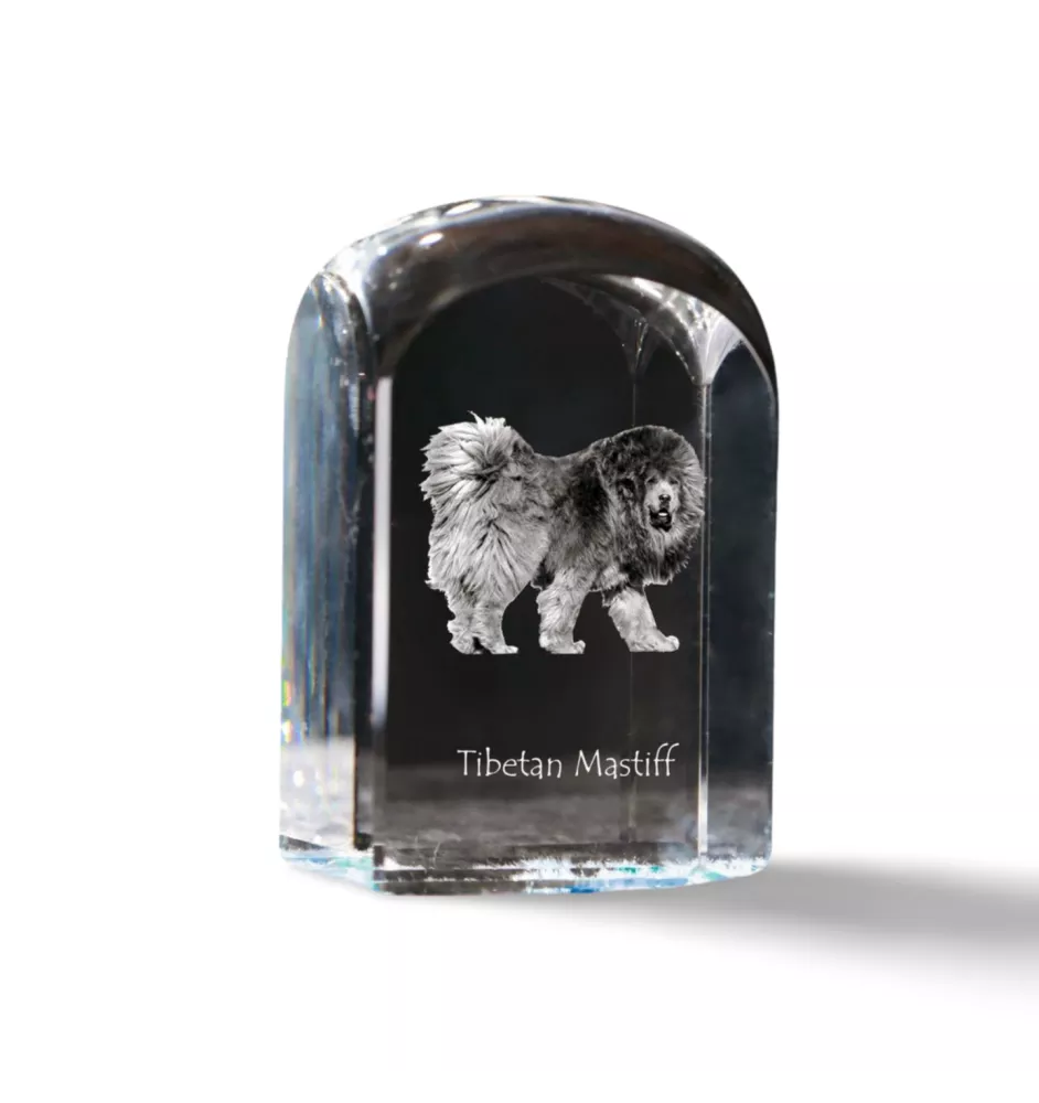 Tibetan Mastiff, Do khyi - crystal cube with a photo, photo of a dog in crystal, cubic paperweight from Art-Dog brand