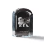 Tibetan Mastiff, Do khyi - crystal cube with a photo, photo of a dog in crystal, cubic paperweight from Art-Dog brand