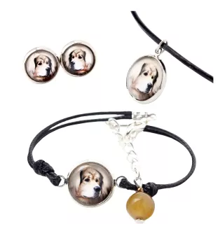 Tibetan Mastiff, Do khyi - a set of jewelry in a box, necklace, earrings, bracelet, products from the Art-Dog brand