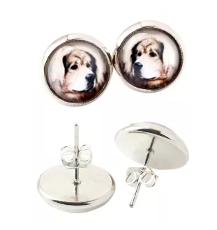 Tibetan Mastiff, Do khyi - earrings in a box, your photo, handmade jewelry, a product of the Art-Dog brand