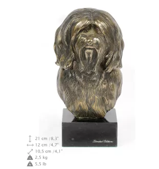 Terier tybetański głowa na kamieniu Art-Dog