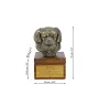 Tibet-Spaniel, Tibetan Spaniel - Eine Ascheurne für Hunde mit einer Statuette, eine kleine Urne für Hunde, eine personalisierte Urne mit dem Porträt eines Hundes von der Marke Art-Dog.