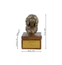 Terrier tibétain, Terrier du Tibet, Dhoki Apso - urne pour les cendres du chien avec une statuette, petite urne pour chien, urne personnalisée avec le buste du chien de la marque Art-Dog