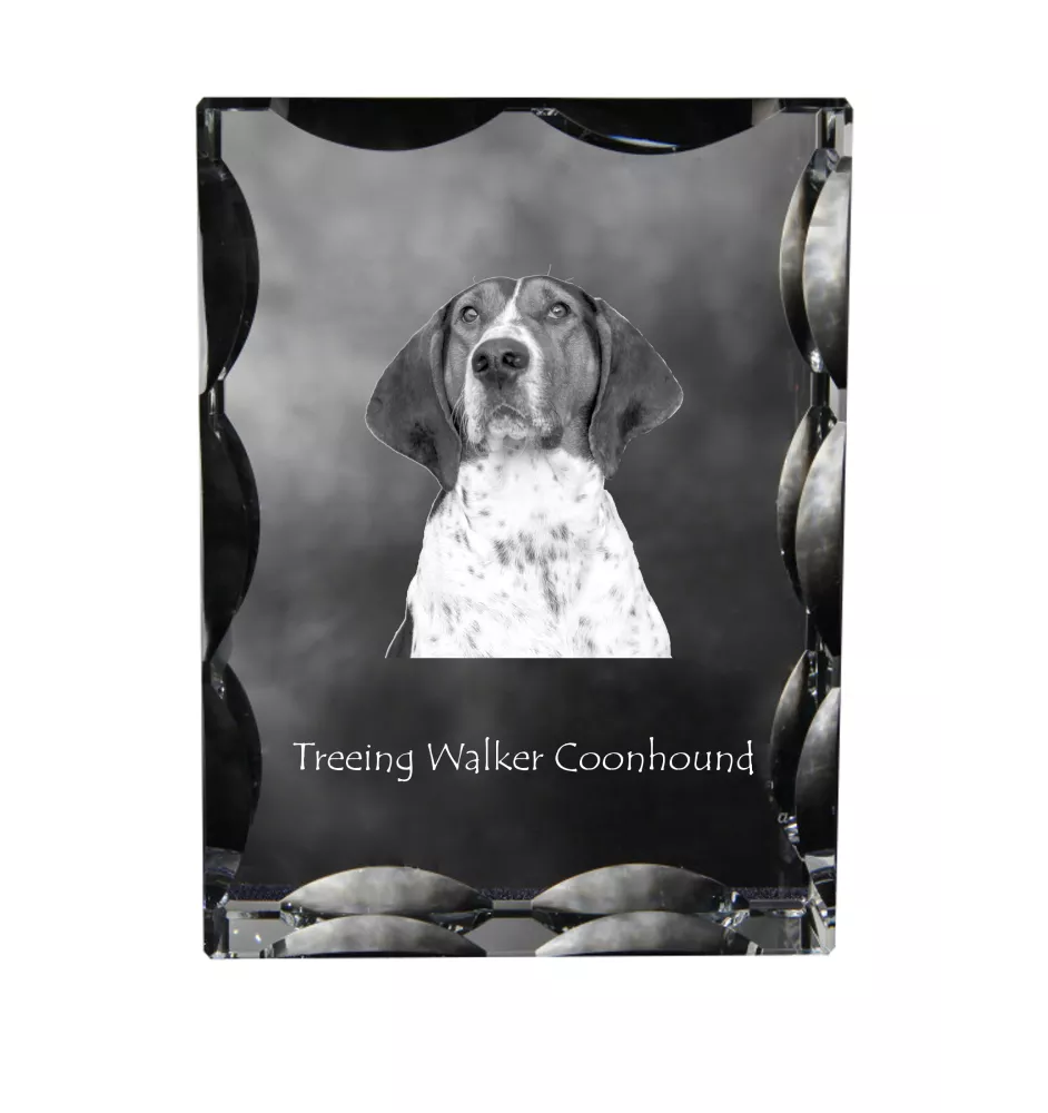 Treeing Walker Coonhound - crystal with a picture of a dog, glass statuette with a picture, unique frame with a picture from Art-Dog brand