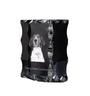 Treeing Walker Coonhound - crystal with a picture of a dog, glass statuette with a picture, unique frame with a picture from Art-Dog brand