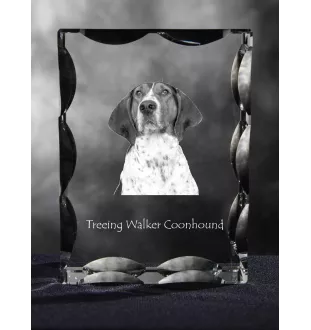 Treeing Walker Coonhound - Kristall mit einem Hundebild, Glasstatuette mit einem Bild, einzigartiger Bilderrahmen der Marke Art-Dog
