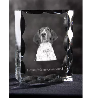Treeing Walker Coonhound - crystal with a picture of a dog, glass statuette with a picture, unique frame with a picture from Art-Dog brand