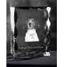 Treeing Walker Coonhound - cristal avec photo de chien, statuette en verre avec photo, cadre exceptionnel avec photo de la marque Art-Dog