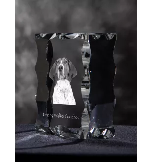 Treeing Walker Coonhound - Kristall mit einem Hundebild, Glasstatuette mit einem Bild, einzigartiger Bilderrahmen der Marke Art-Dog