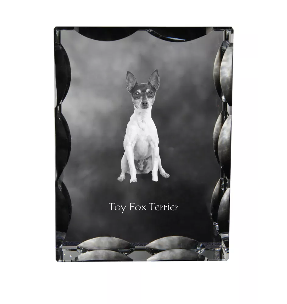 Toy Fox Terrier, American Toy Terrier, Amertoy - Kristall mit einem Hundebild, Glasstatuette mit einem Bild, einzigartiger Bilderrahmen der Marke Art-Dog