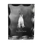 Toy Fox Terrier, American Toy Terrier, Terrier américain de jouet - cristal avec photo de chien, statuette en verre avec photo, cadre exceptionnel avec photo de la marque Art-Dog