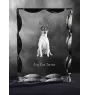 Toy Fox Terrier, American Toy Terrier, Amertoy - Kristall mit einem Hundebild, Glasstatuette mit einem Bild, einzigartiger Bilderrahmen der Marke Art-Dog
