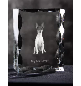 Toy Fox Terrier, American Toy Terrier, Terrier américain de jouet - cristal avec photo de chien, statuette en verre avec photo, cadre exceptionnel avec photo de la marque Art-Dog