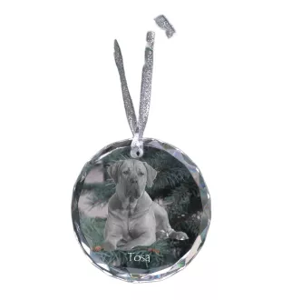 Tosa Inu, Tosa-Ken, Japanese Mastiff - crystal bauble with a photo, dog photo in crystal, personalized Christmas tree ornament by Art-Dog brand