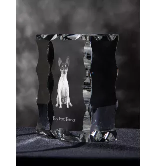 Toy Fox Terrier, American Toy Terrier, Amertoy - Kristall mit einem Hundebild, Glasstatuette mit einem Bild, einzigartiger Bilderrahmen der Marke Art-Dog