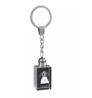 Treeing Walker Coonhound - Crystal key ring with dog photo, illuminated key ring, unique gift by Art-Dog brand