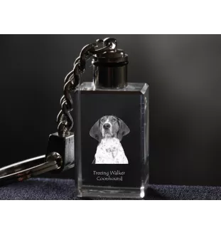 Treeing Walker Coonhound - Porte-clés en cristal avec photo de chien, porte-clés lumineux, cadeau unique de la marque Art-Dog