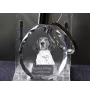 Treeing Walker Coonhound - pendant with a photo of a dog, crystal key ring in a gift box, a unique gift by Art-Dog