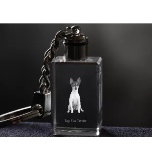 Toy Fox Terrier, American Toy Terrier, Terrier américain de jouet - Porte-clés en cristal avec photo de chien, porte-clés lumineux, cadeau unique de la marque Art-Dog