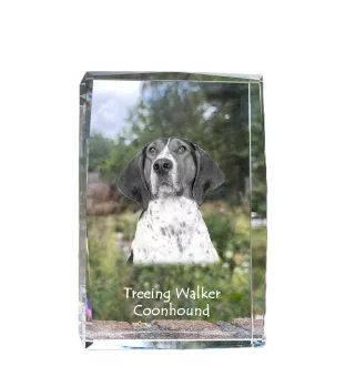 Treeing Walker Coonhound - crystal with a picture of a dog, photo in glass, modern exhibition of Art-Dog brand photo