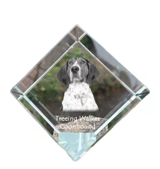 Treeing Walker Coonhound - crystal cube with a photo, photo of a horse in crystal, cubic paperweight from Art-Dog brand