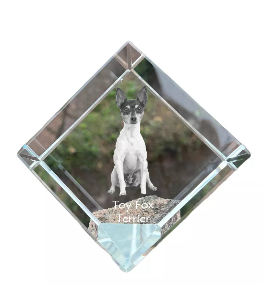 Toy Fox Terrier, American Toy Terrier, Amertoy - Kristallwürfel mit Bild, Pferdebild im Kristall, sechseckiger Papierclip der Marke Art-Dog
