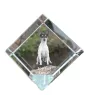 Toy Fox Terrier, American Toy Terrier, Amertoy - Kristallwürfel mit Bild, Pferdebild im Kristall, sechseckiger Papierclip der Marke Art-Dog