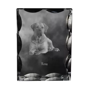 Tosa Inu, Tosa-Ken, Japanese Mastiff - crystal with a picture of a dog, glass statuette with a picture, unique frame with a picture from Art-Dog brand