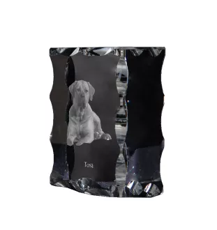 Tosa Inu - cristal avec photo de chien, statuette en verre avec photo, cadre exceptionnel avec photo de la marque Art-Dog
